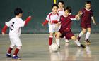 ¡¡¡ GRAN NOTICIA !!! FAVAFUTSAL CONTARA CON UNA COMPETICION DE FUTSAL EN GIPUZKOA A PARTIR DE FEBRERO DE 2012.