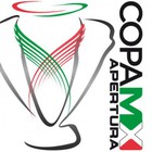 El fin de semana del 4 y 5 de mayo, dará comienzo la Copa FVFS 2013.