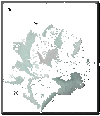 FALLECIMIENTO DE VENANCIO AGUIRRE, FUNDADOR Y PRESIDENTE DE LAS FEDERACIONES ALAVESA Y VASCA DE FUTBOL SALA