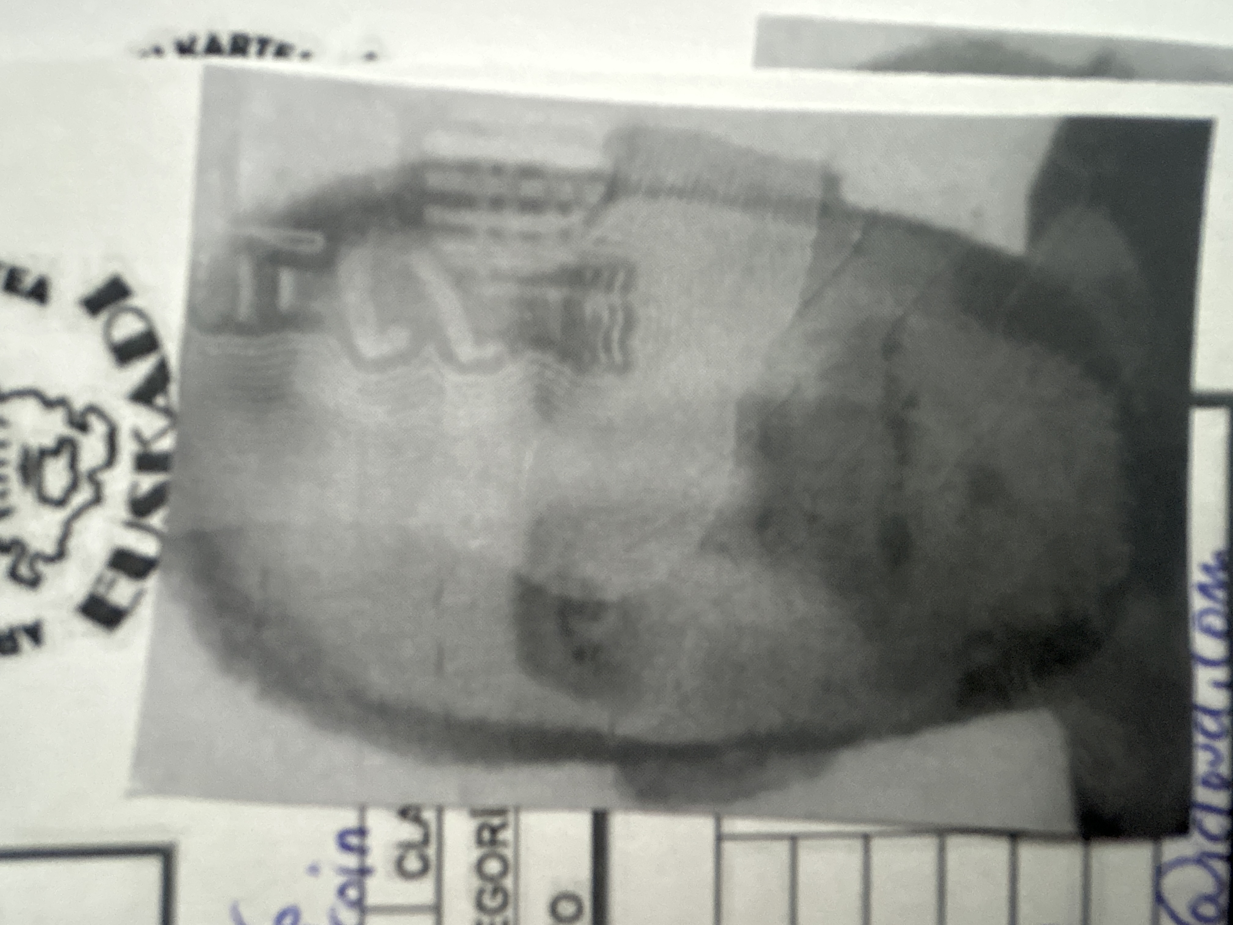 Foto de IKER QUINTANA